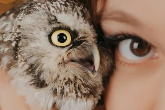 プレイハブ カジノ サポート